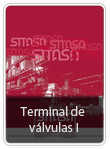 Terminal de v&aacute;lvulas I