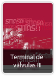 Terminal de v&aacute;lvulas III