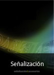 Sealizacin